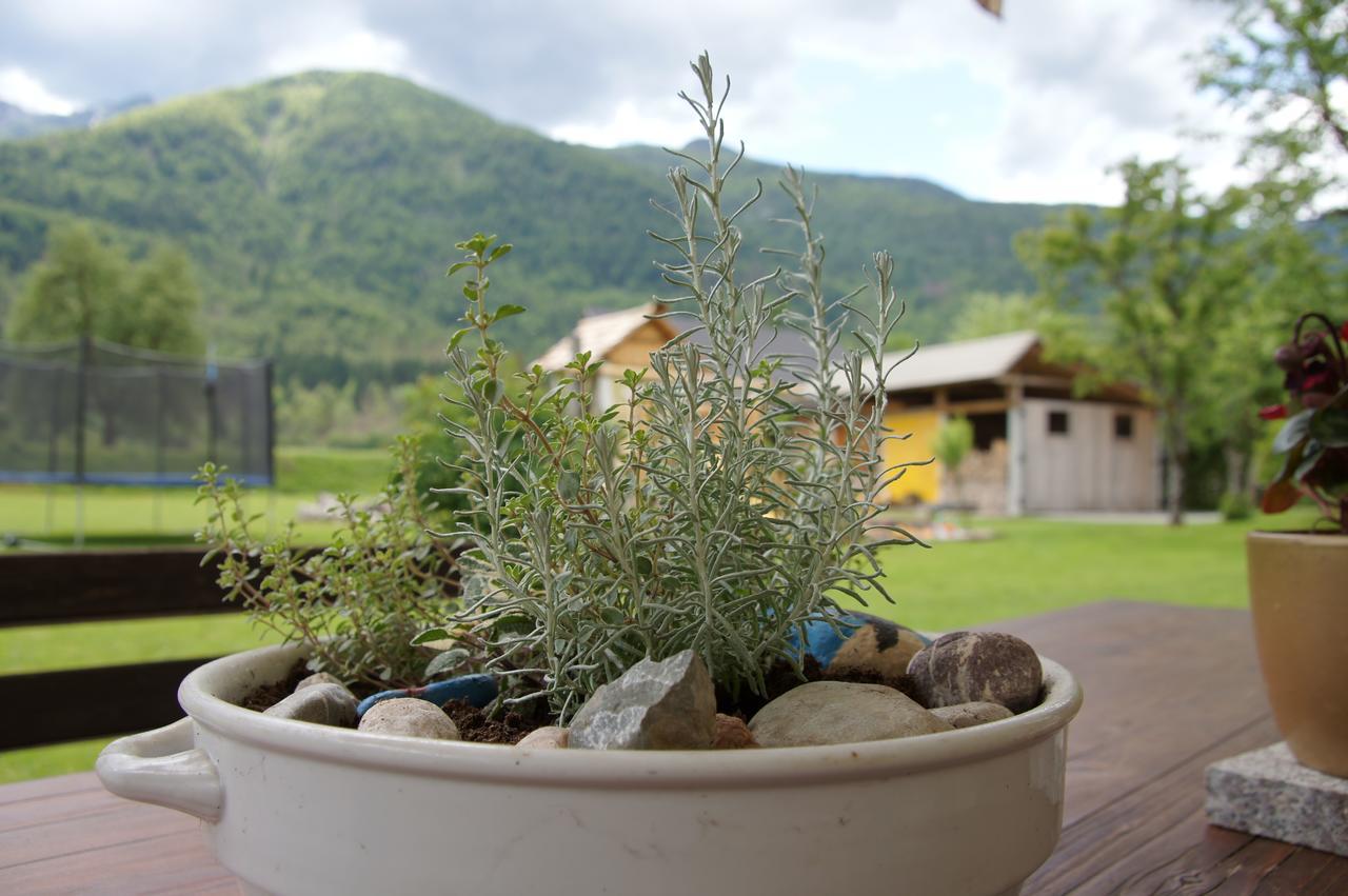 Apartments Markez Bohinj Buitenkant foto